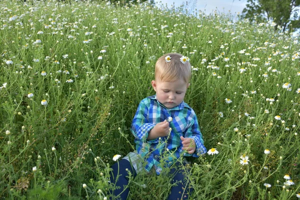Ребенок Сидит Траве — стоковое фото