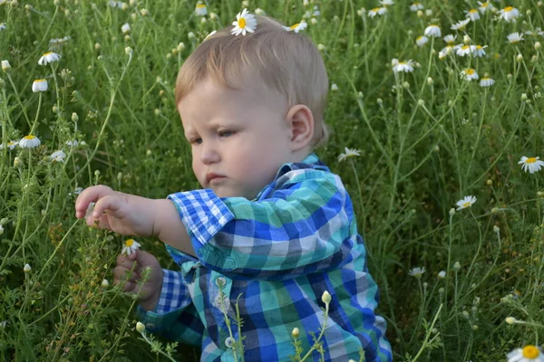 Niño Está Sentado Hierba — Foto de Stock