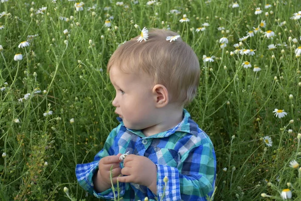 子供は草の中に座っていて — ストック写真