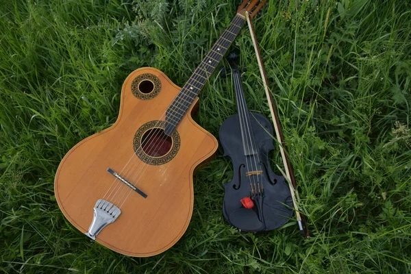 Gitara Skrzypce Trawie — Zdjęcie stockowe