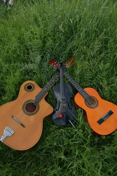 草の上のギターとバイオリン — ストック写真