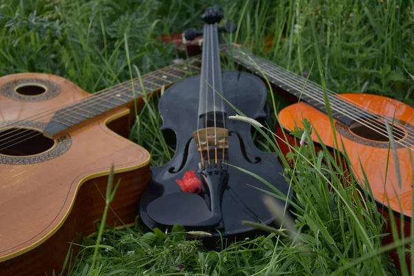 草上的吉他和小提琴 — 图库照片