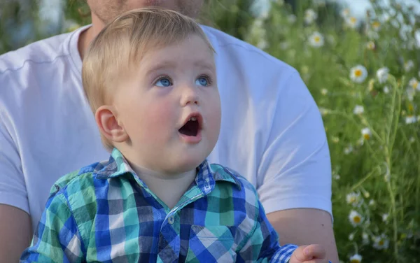 Vater Und Sohn Sitzen Gras Und Gänseblümchen — Stockfoto