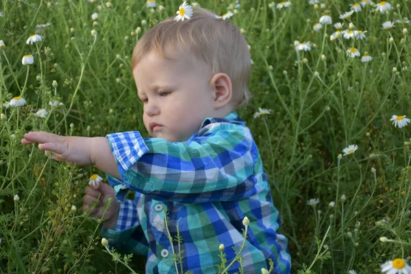 Niño Está Sentado Hierba — Foto de Stock