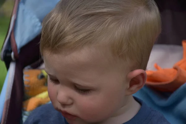 Prachtig Portret Van Een Kind — Stockfoto