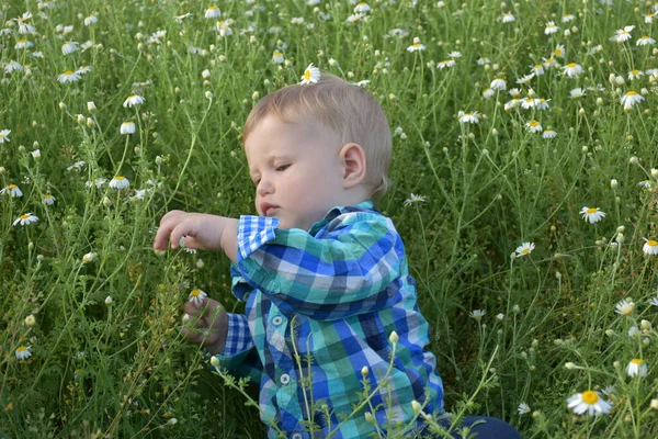 Het Kind Zit Het Gras — Stockfoto