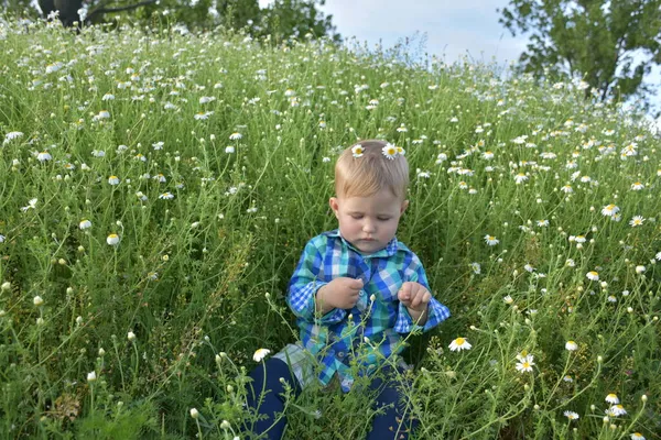 Дитина Сидить Траві — стокове фото