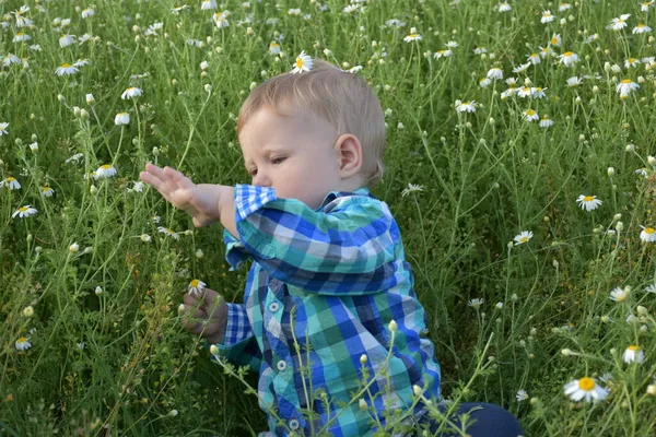 子供は草の中に座っていて — ストック写真