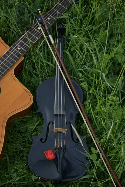 草の上のギターとバイオリン — ストック写真