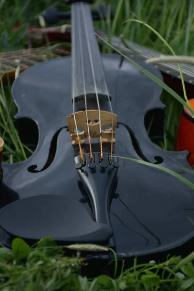 Гитара Скрипка Траве — стоковое фото