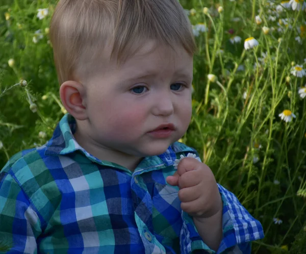 Het Kind Zit Het Gras — Stockfoto