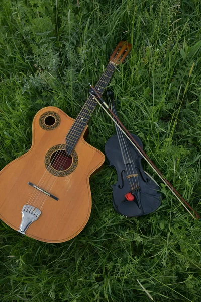 Гітара Скрипка Траві — стокове фото