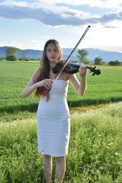 Young Beautiful Girl Playing Violin Field — 스톡 사진