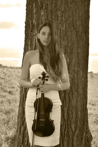 드레스를 바이올린을 — 스톡 사진