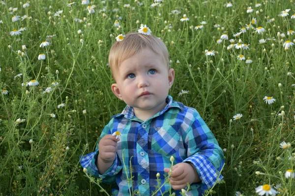 Child Sitting Grass — Stock Photo, Image