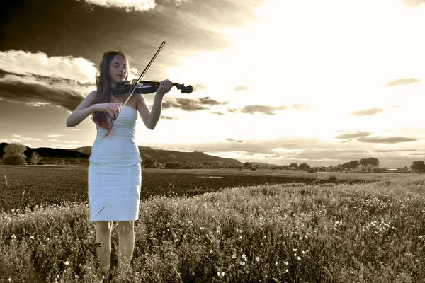 Молода Красива Дівчина Грає Скрипці Полі — стокове фото