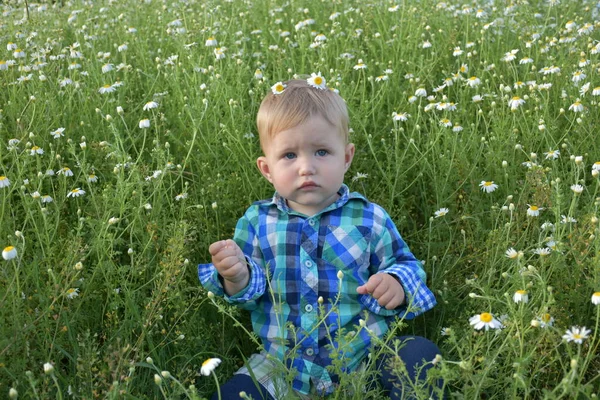Het Kind Zit Het Gras — Stockfoto