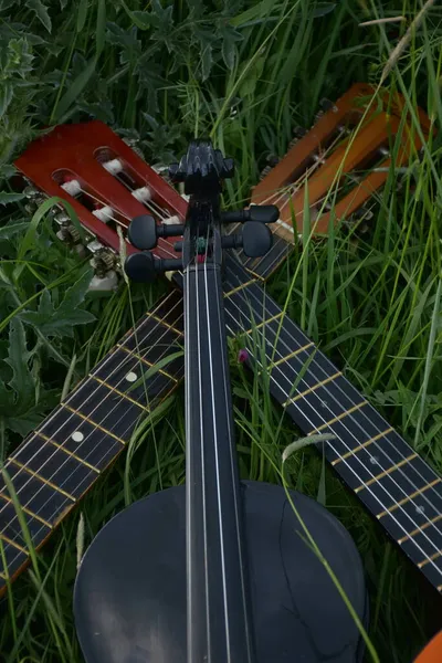 풀밭에 기타와 바이올린 — 스톡 사진