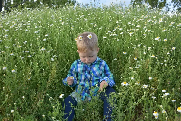 Barnet Sidder Græsset - Stock-foto