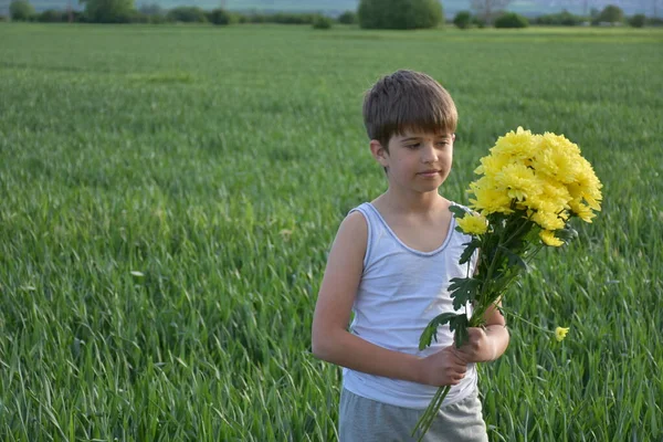 Niño Con Ramo Crisantemos Amarillos —  Fotos de Stock
