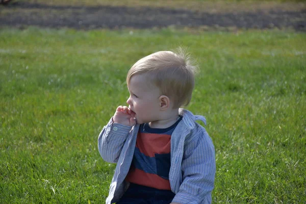 Het Kind Zit Het Gras — Stockfoto