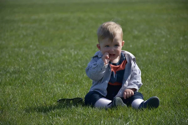 Liten Baby Bakgrunden Naturen — Stockfoto