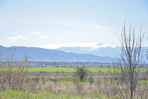 Panoramic Spring Landscape Field Mountains Background — Stockfoto