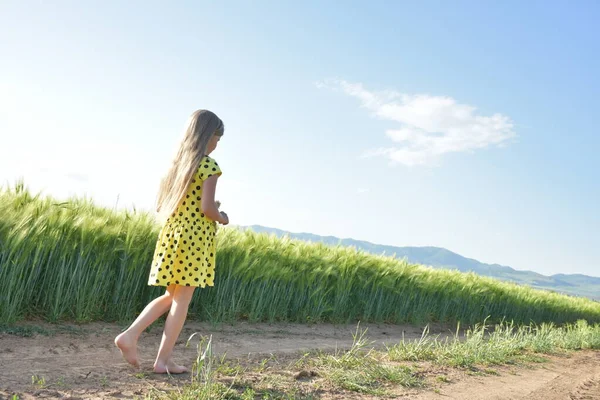 Green Wheat Field Blonde Girl — Φωτογραφία Αρχείου