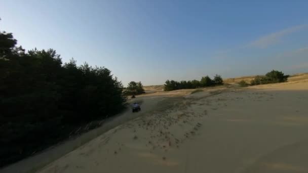 Luchtfoto Sunset FPV Racing Drone Foto van de mensen op ATV 's Quadrocycles in de grootste woestijn van Europa, Oekraïne - Oleshky Sands met enkele struiken en dennenbomen. Planten in de woestijn, veel geel — Stockvideo