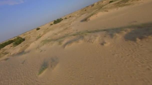 Luftbild Sonnenuntergang FPV Renndrohne geschossen in der größten Wüste Europas, der Ukraine - Oleshky Sands mit einigen Büschen und Kiefern. Pflanzen in der Wüste, viel gelber Sand — Stockvideo