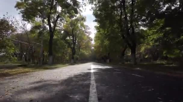 Dirigir em estrada de asfalto vazia Coberto com folhas amarelas em um dia ensolarado de outono. Pov em movimento — Vídeo de Stock