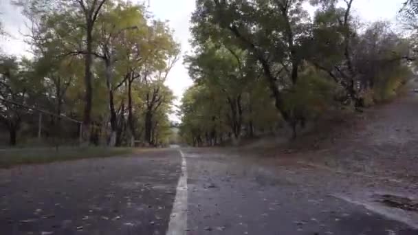 Ехать по пустой асфальтовой дороге, покрытой желтыми листьями, в облачный осенний день. Перемещение Пова — стоковое видео