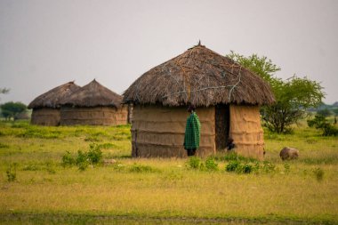 Arusha, Tanzanya, Ocak 2020: Köylerinde Masai Halkı Tipik Kabile yaşam tarzı
