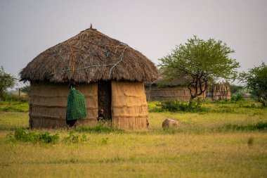 Arusha, Tanzanya, Ocak 2020: Köylerinde Masai Halkı Tipik Kabile yaşam tarzı