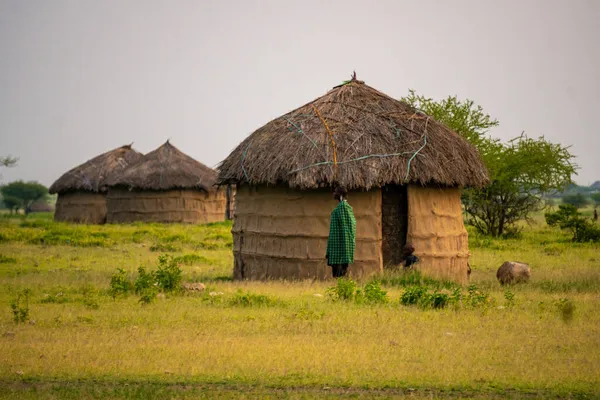 坦桑尼亚阿鲁沙，2020年1月：马赛人在其村庄的典型部落生活方式 — 图库照片