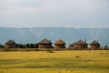 Ngorongoro krateri ve Mto Wa Mbu yakınlarındaki Masai köyü. Afrika savanasındaki küçük Masai kulübeleri, Tanzanya