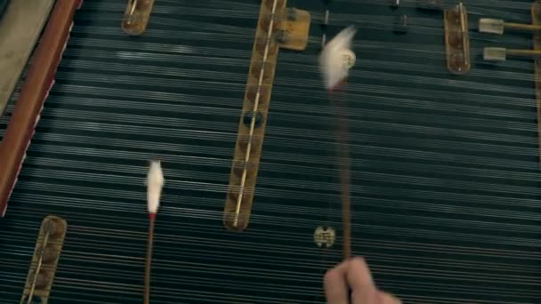 Cimbalom, concierto martillado dulcimers. De cerca. — Vídeos de Stock