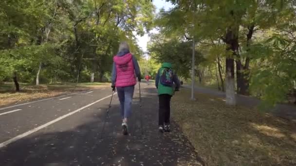 Kobieta z kijami do tropienia spaceruje z córką przy jesiennej drodze w parku. — Wideo stockowe