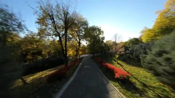 Drone aéreo FPV Fotografia Cinemática do Centro Histórico da Cidade em Odessa, Ucrânia. Corrida de drone voando através de um parque com folhas amarelas em uma árvore — Vídeo de Stock