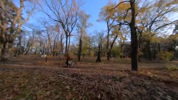 Aerial FPV Drone Cinematic Shot of Autumn Park. Maneurable Racing Drone Latający przez park z żółtymi liśćmi na drzewach — Wideo stockowe