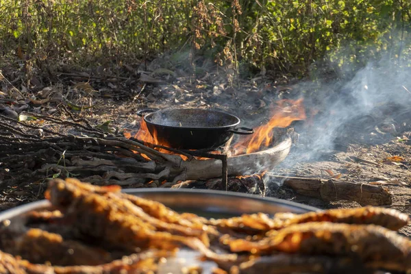 Still life of sunshine on trout fish frying in pan outdoors — Stock Photo, Image