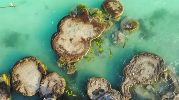 Drone aéreo Tiro de estromatólitos antigos em sete lagunas de colores perto de Bacalar, Quintana Roo, México — Vídeo de Stock