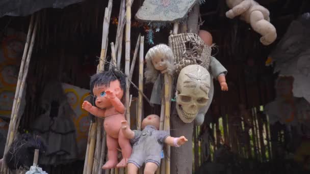Gruselige alte Puppen auf der Insel in Xochimilco Channels, Mexico City, CDMX, Mexiko — Stockvideo