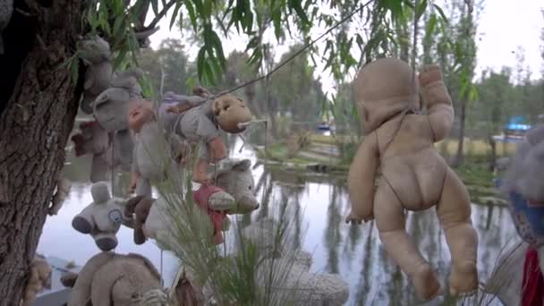 Griezelige oude poppen op het eiland in Xochimilco Kanalen, Mexico City, CDMX, Mexico — Stockvideo