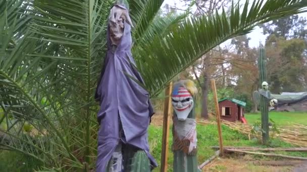 Xochimilco Kanalları, Mexico City, CDMX, Meksika 'daki adada ürkütücü yaşlı Dolls — Stok video