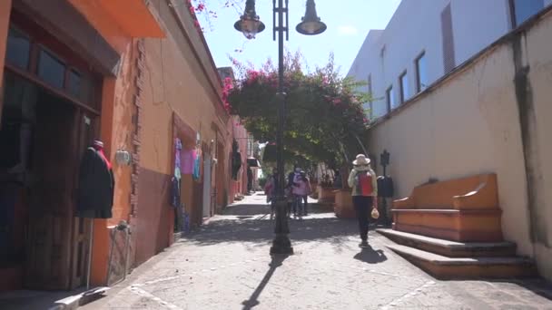 Liscio Gimbal Girato Lungo Strade Jalpan Serra Queretaro Messico Missione — Video Stock