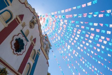 The Tule tree from Santa Maria del Tule, Mexico. The Biggest tree in Latin America is over 2000 years old. 