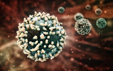 bakteri, virüs, 3D görüntüleme