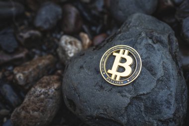 Fotokopi alanı olan bitcoin para