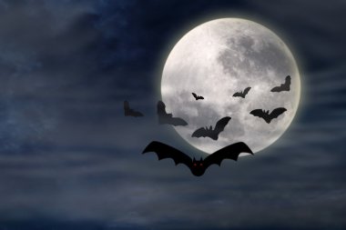 Cadılar Bayramı arka plan